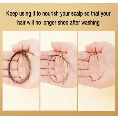 King Of Ginger Anti-Hair Loss Shampoo ( BUY 1 GET 1 FREE )