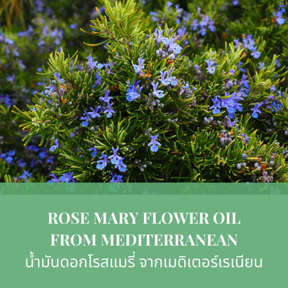 MIJEP™ Natural Rosemary Body & Hair Oil ( BUY 1 GET 1 FREE )